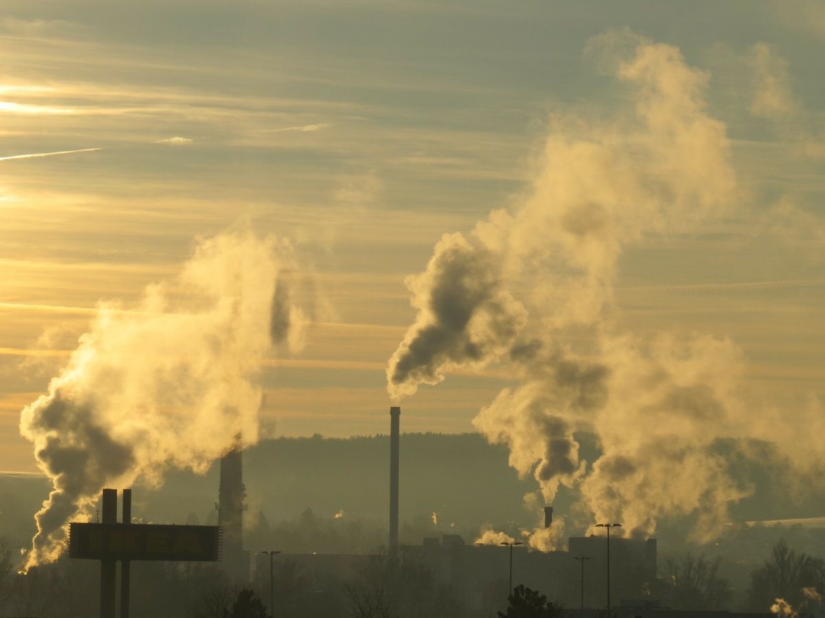 Jakie mamy powietrze? Nowy czujnik smogu w Elblągu