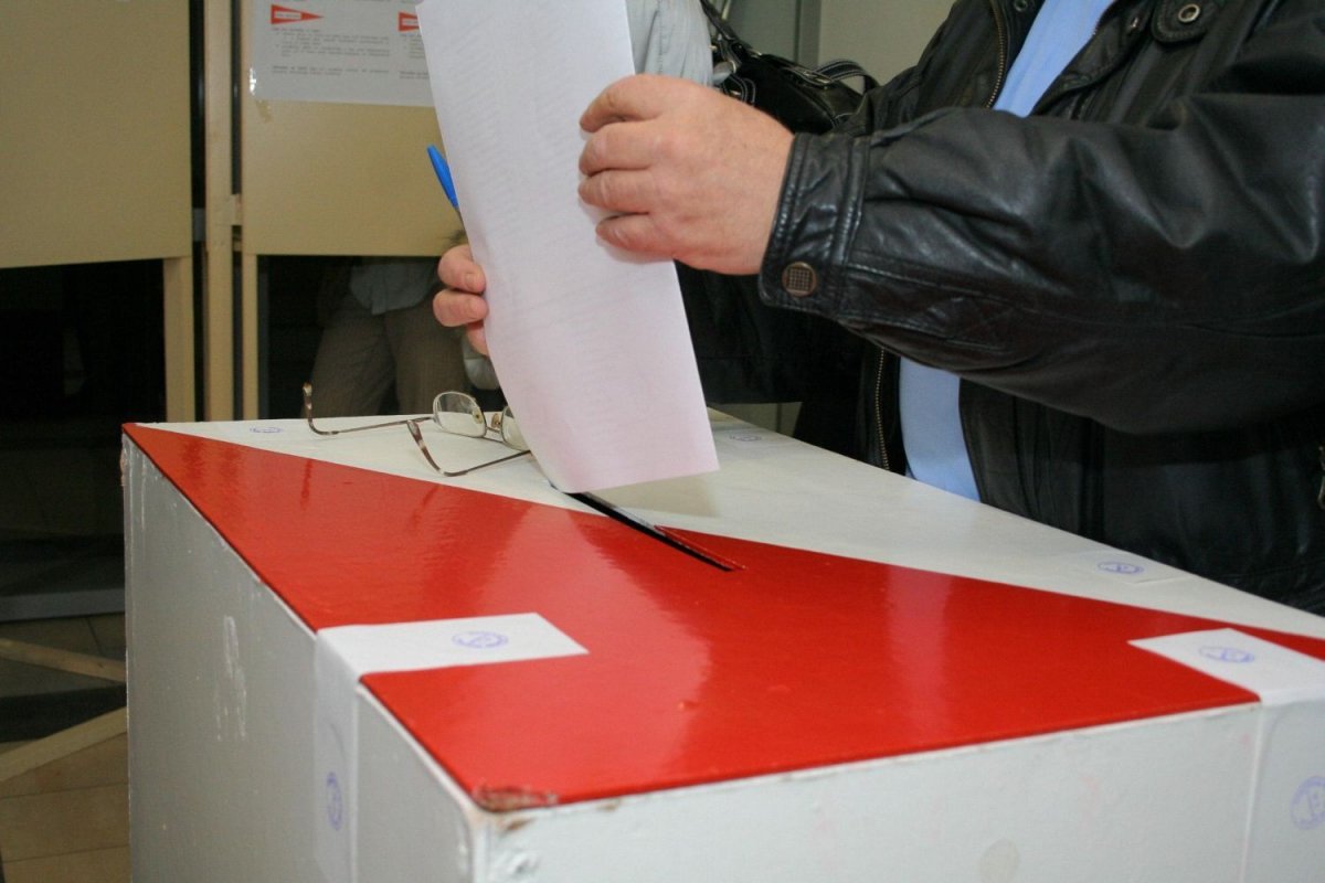 Prawybory w Elblągu. Zagłosuj na swojego kandydata