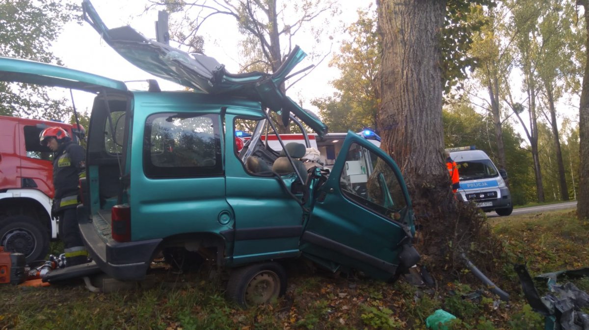 Tragiczny wypadek. Samochód uderzył w drzewo, kierowca nie żyje 