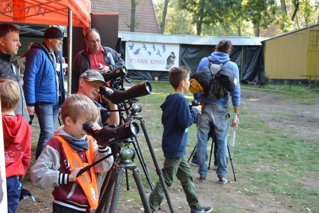 Niecodzienne zjawisko w świecie przyrody. Będą je obserwowali koło Krynicy Morskiej