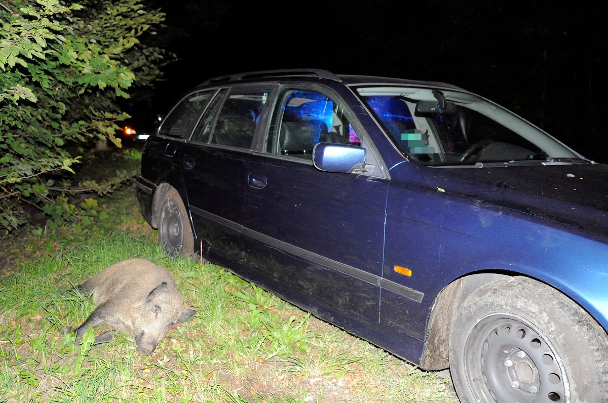 Zatrzymał się, bo zobaczył dziki na drodze. Wtedy uderzyło w niego inne auto [zdjęcia]