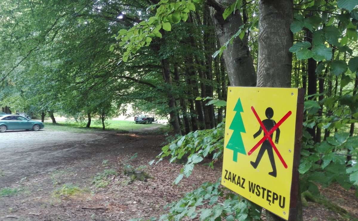 Uwaga! Zakaz wstępu do lasu przy Jeleniej Dolinie