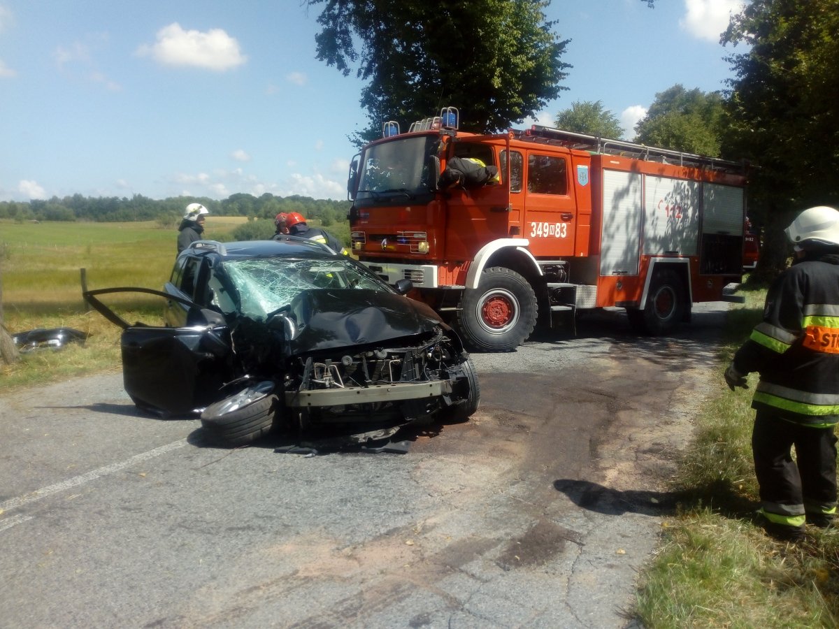Zderzyła się z drzewem, dostała mandat [zdjęcia]