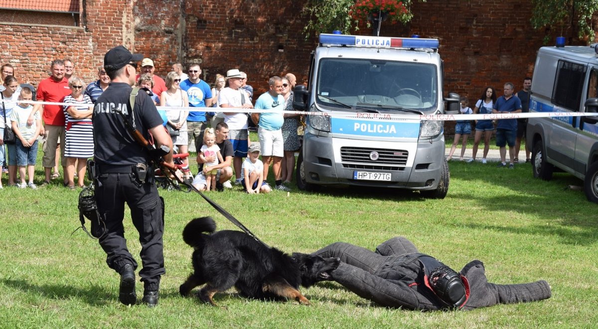 Tak było na pikniku z okazji Święta Policji [zdjęcia]