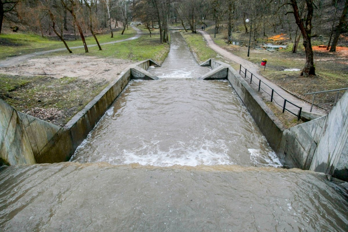 Jak i kiedy zmieni się Park Dolinka?