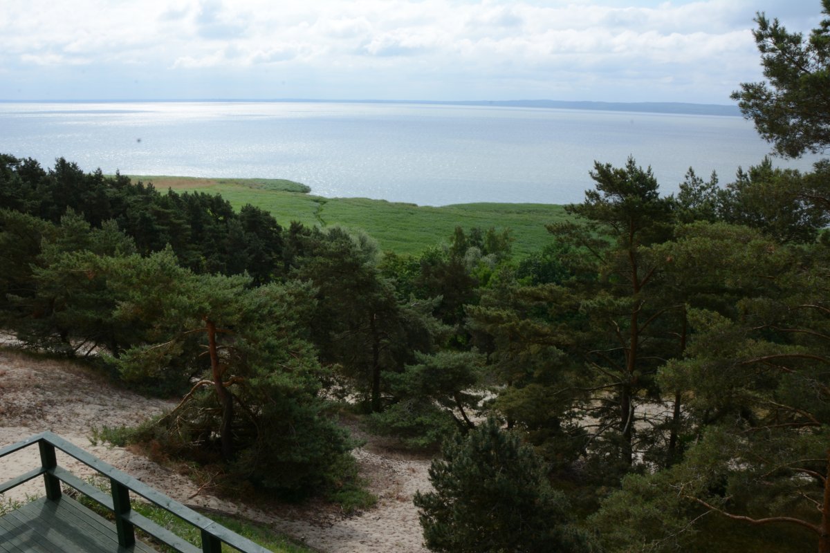 Piękna panorama na Bałtyk i Zalew z nowej wieży widokowej. Gdzie ją wybudowano?