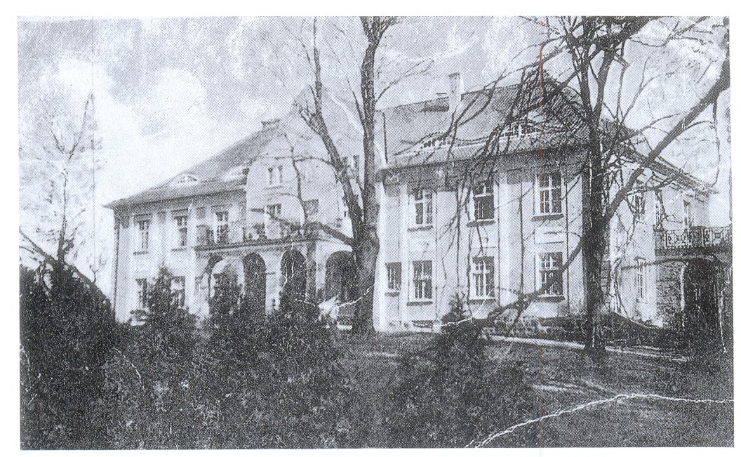 Baronowa ze wsi Śliwica
