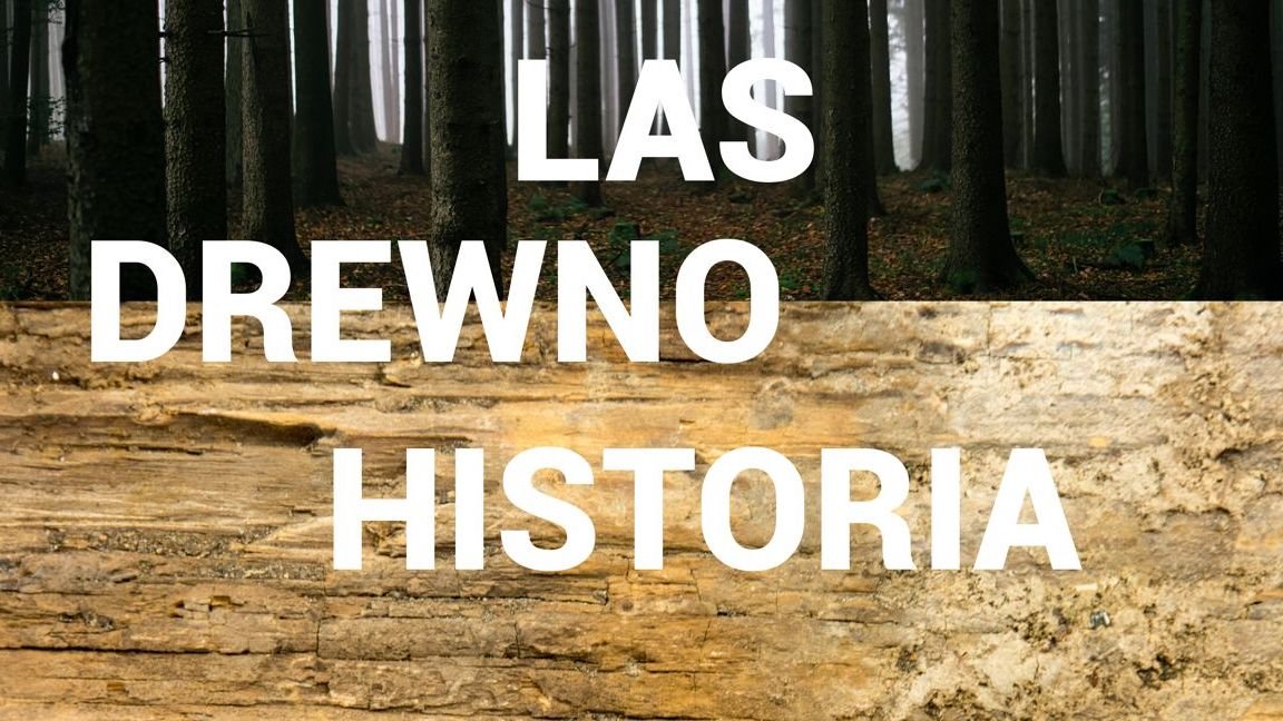 Leśna wystawa w muzeum