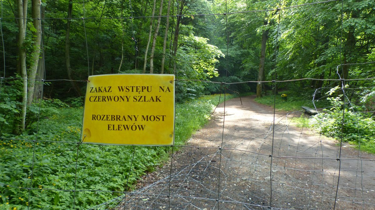 Trzysta tysięcy zł na naprawę czerwonego szlaku w Bażantarni. To na początek 