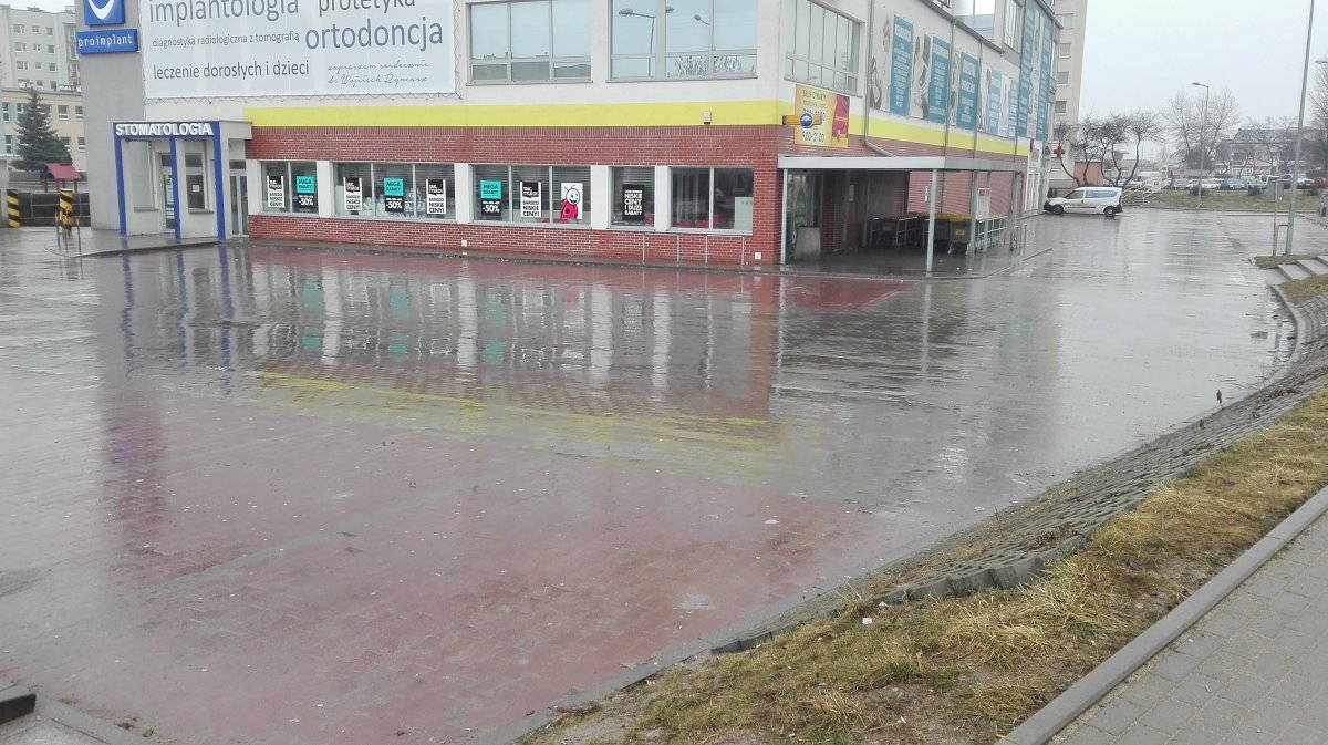 To pierwsza taka niedziela. Tak wygląda parking przed jedną z Biedronek w Elblągu