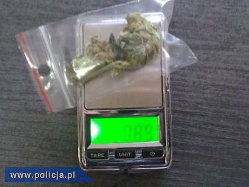 W kieszeni marihuana, w nogawce waga elektroniczna