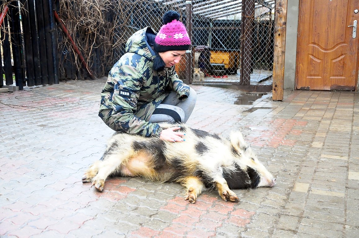 Dzikie zwierzęta czują się tu jak w domu. Zobacz zdjęcia z ośrodka w Jelonkach