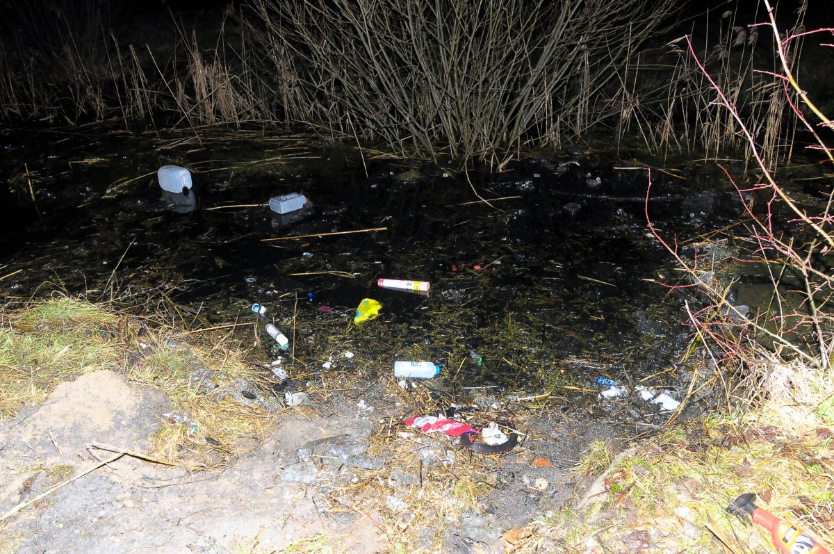Wypadek w Zwierznie. 36-latek dachował w sadzawce [zdjęcia]
