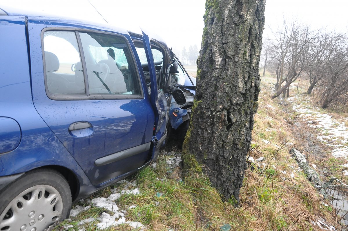 Straciła panowanie nad samochodem, uderzyła w drzewo [zdjęcia]