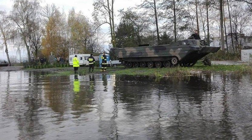 Amfibie nad jeziorem Druzno. Woda wciąż groźna [zdjęcia]