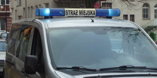 Cmentarze pod kontrolą