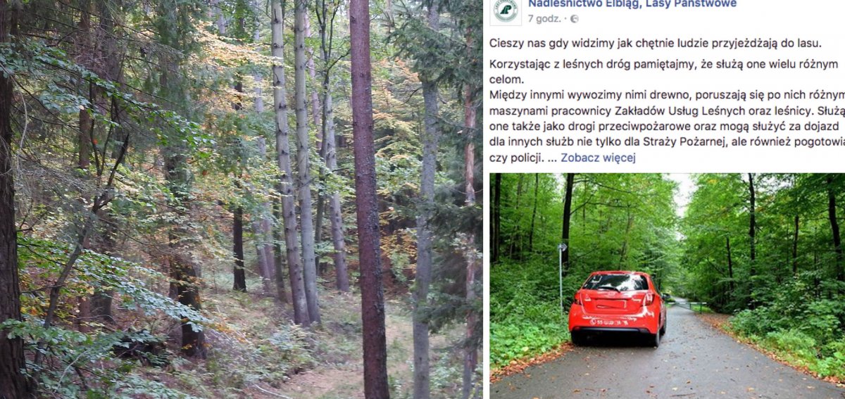 Tak zostawił auto w lesie. Leśnicy apelują do kierowców, by tak nie parkować
