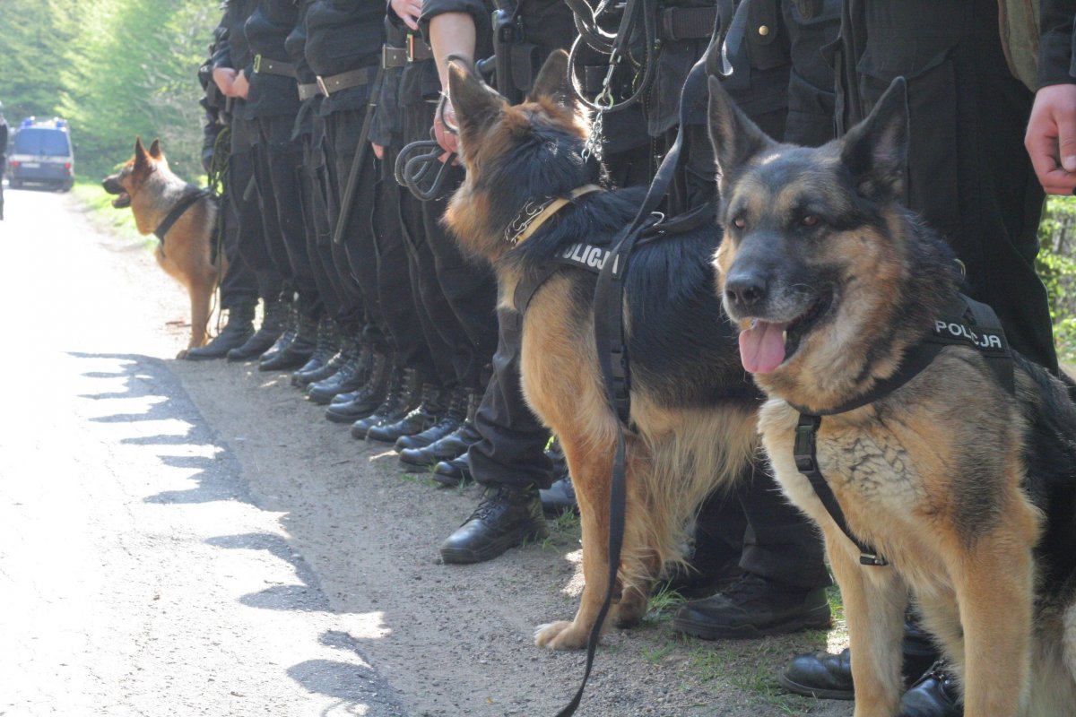 Policjanci odnaleźli zaginionego 13-letniego Mateusza