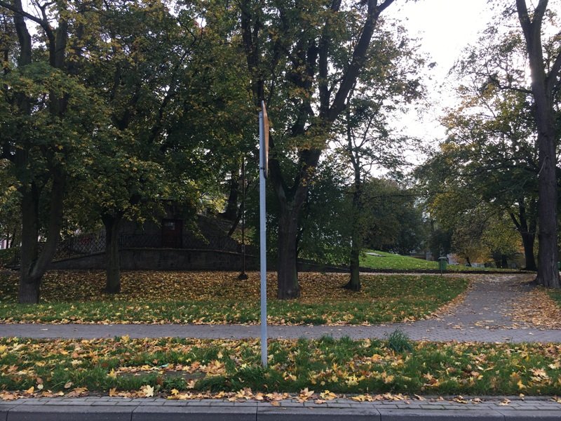 Sprzątaj liście przed swoją posesją!