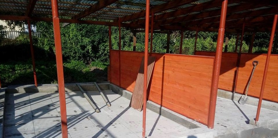 Psom ze schroniska będzie się żyło trochę lepiej