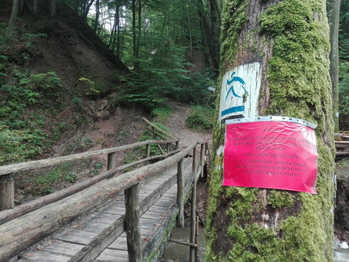 Szlak czerwony w Bażantarni nadal zamknięty