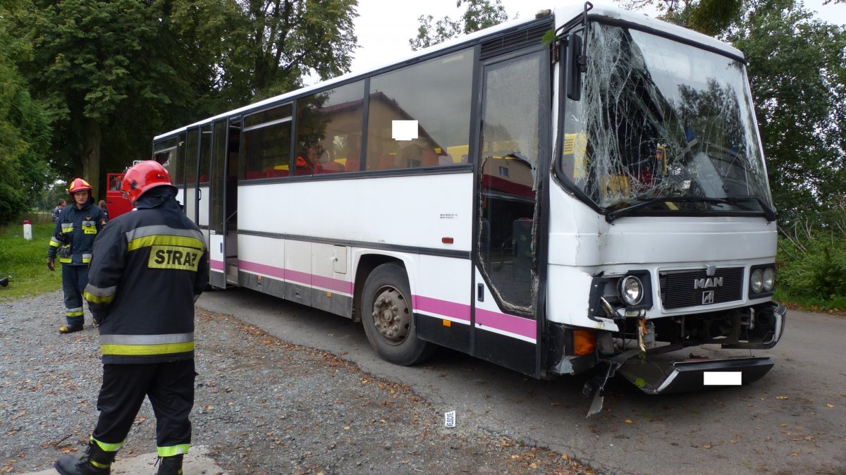 Szkolny autobus uderzył w drzewo. W środku było siedmioro dzieci [ZDJĘCIA]