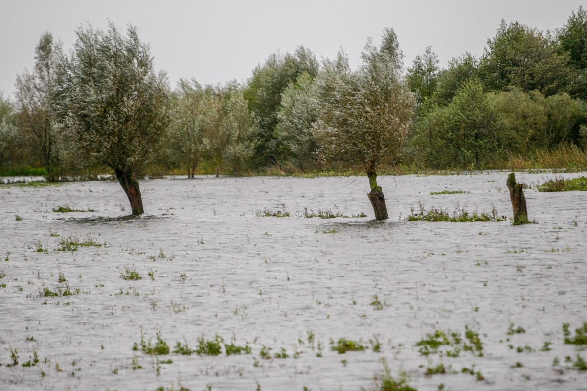 Ostrzeżenie hydrologiczne dla Żuław i Zalewu Wiślanego. Poziom wody może niebezpiecznie wzrosnąć