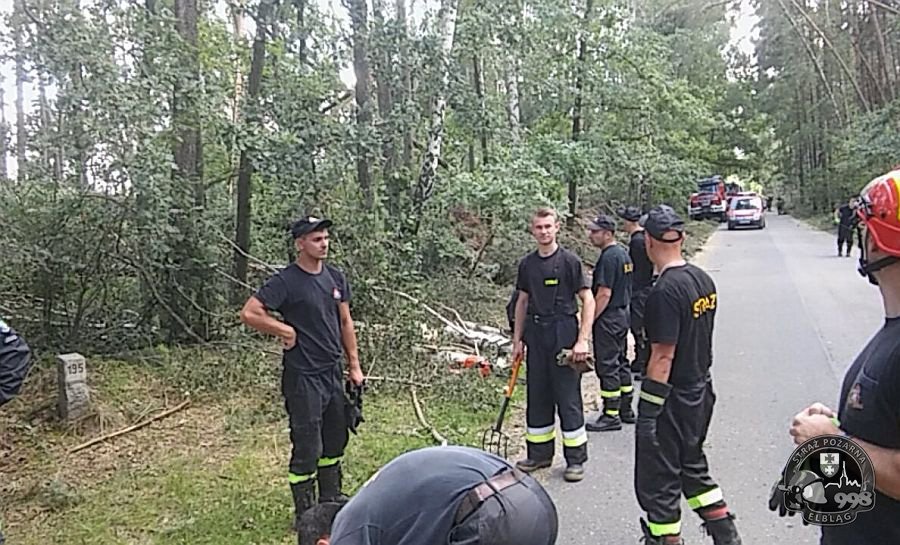 Strażacy z Elbląga walczyli ze skutkami nawałnicy w Borach Tucholskich