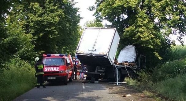 Wyjaśniają dlaczego dostawczak uderzył w drzewo. Na miejscu zginął 29-letni elblążanin