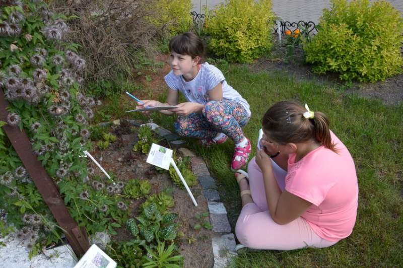 Jeszcze piękniejszy ogród botaniczny przy SP 16