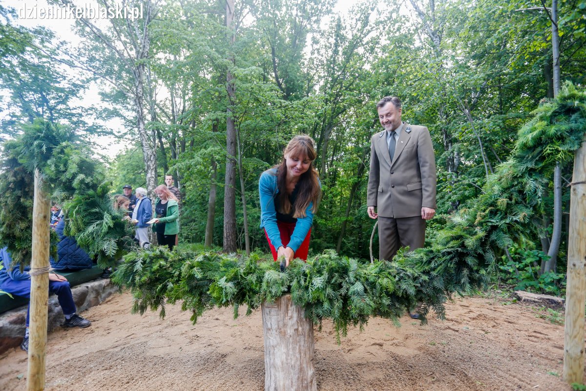 Nowy punkt widokowy w Suchaczu otwarty. Piękne widoki na Zalew Wiślany [film, zdjęcia]