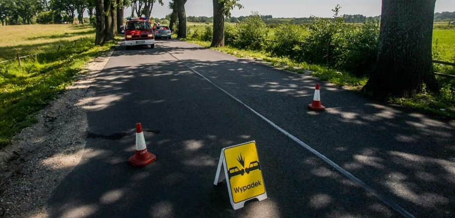 Wypadek koło Młynar. Uderzył w drzewo po wyjściu z łuku