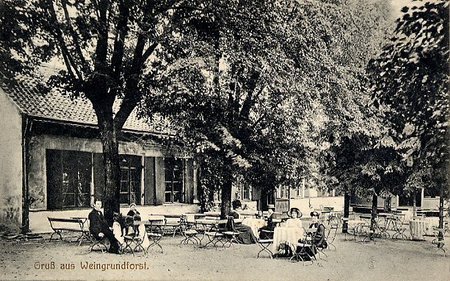 Winnica wśród pagórków i parków