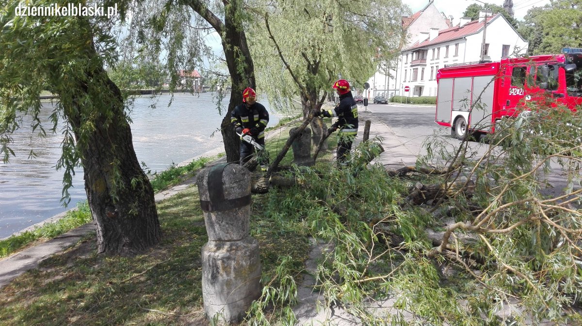 Strażacy w akcji. Konar zablokował ruch na Bulwarze Zygmunta Augusta [zdjęcia]