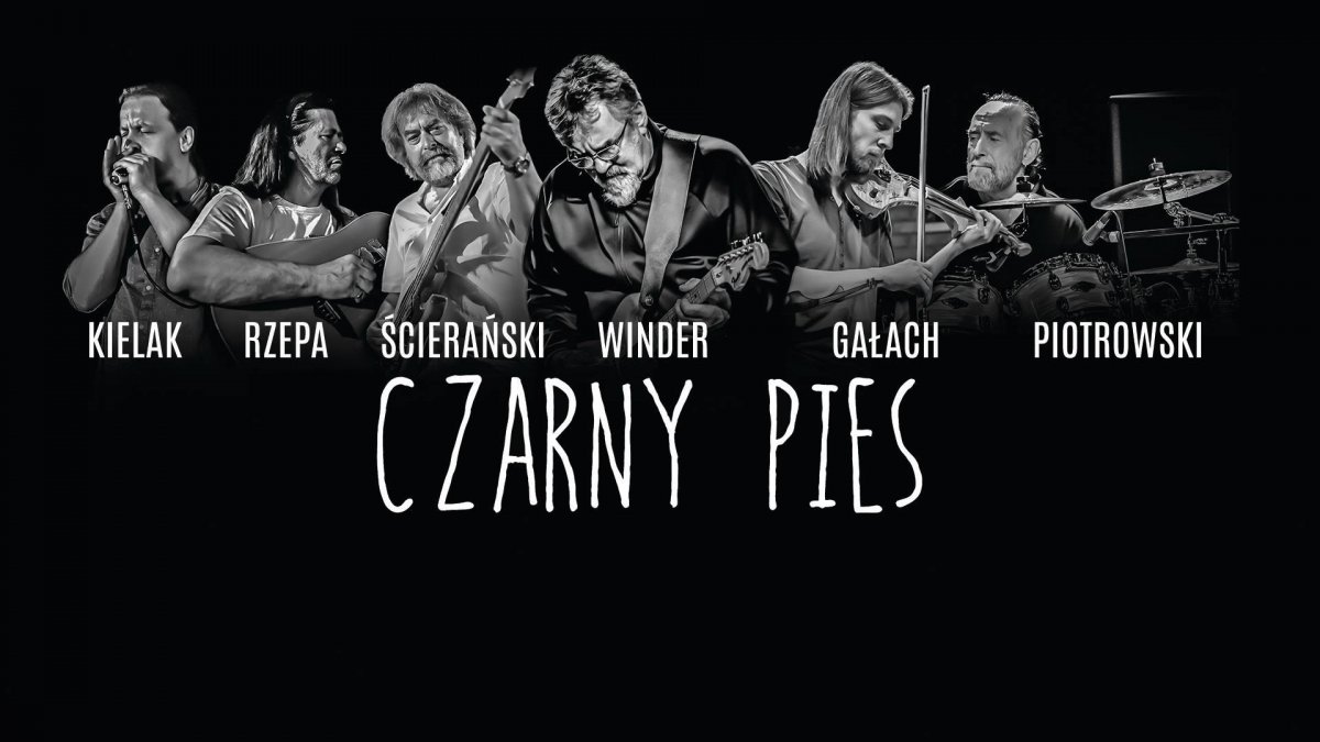 Czarny pies zagra w Elblągu
