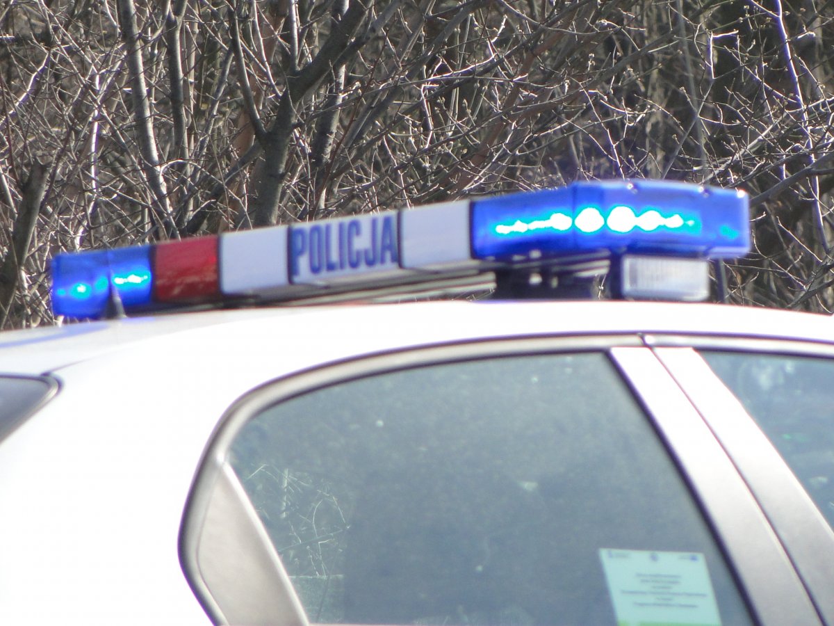 Czołowe zderzenie w Jegłowniku. Jedna osoba w szpitalu 