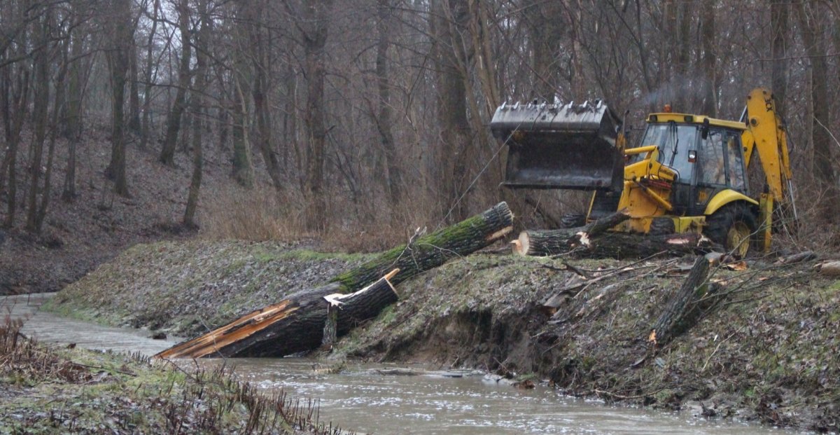 Niedawno zamarznięta, dzisiaj Kumiela wyrywa drzewa z korzeniami [zdjęcia]