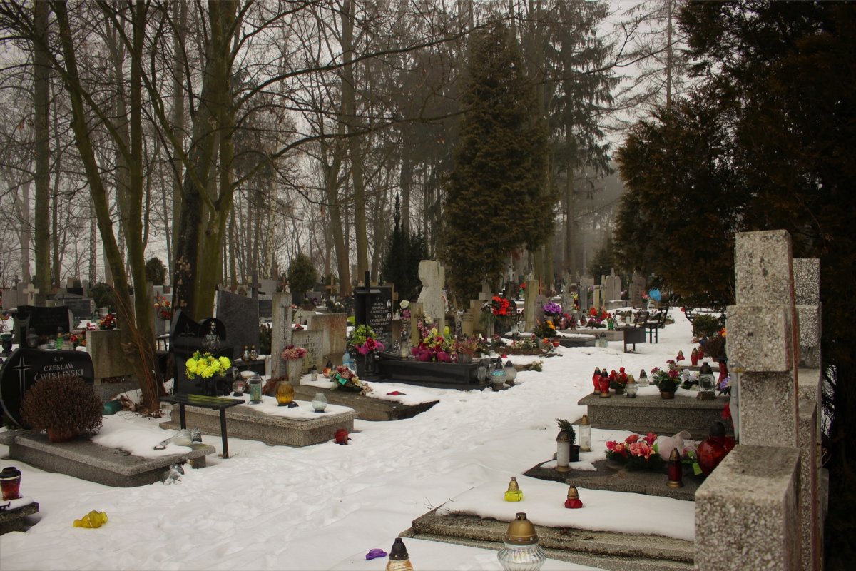 Zastanawiające ekshumacje z lat 50. Czyje zwłoki wykopano z podwórka Powiatowego Urzędu Bezpieczeństwa?