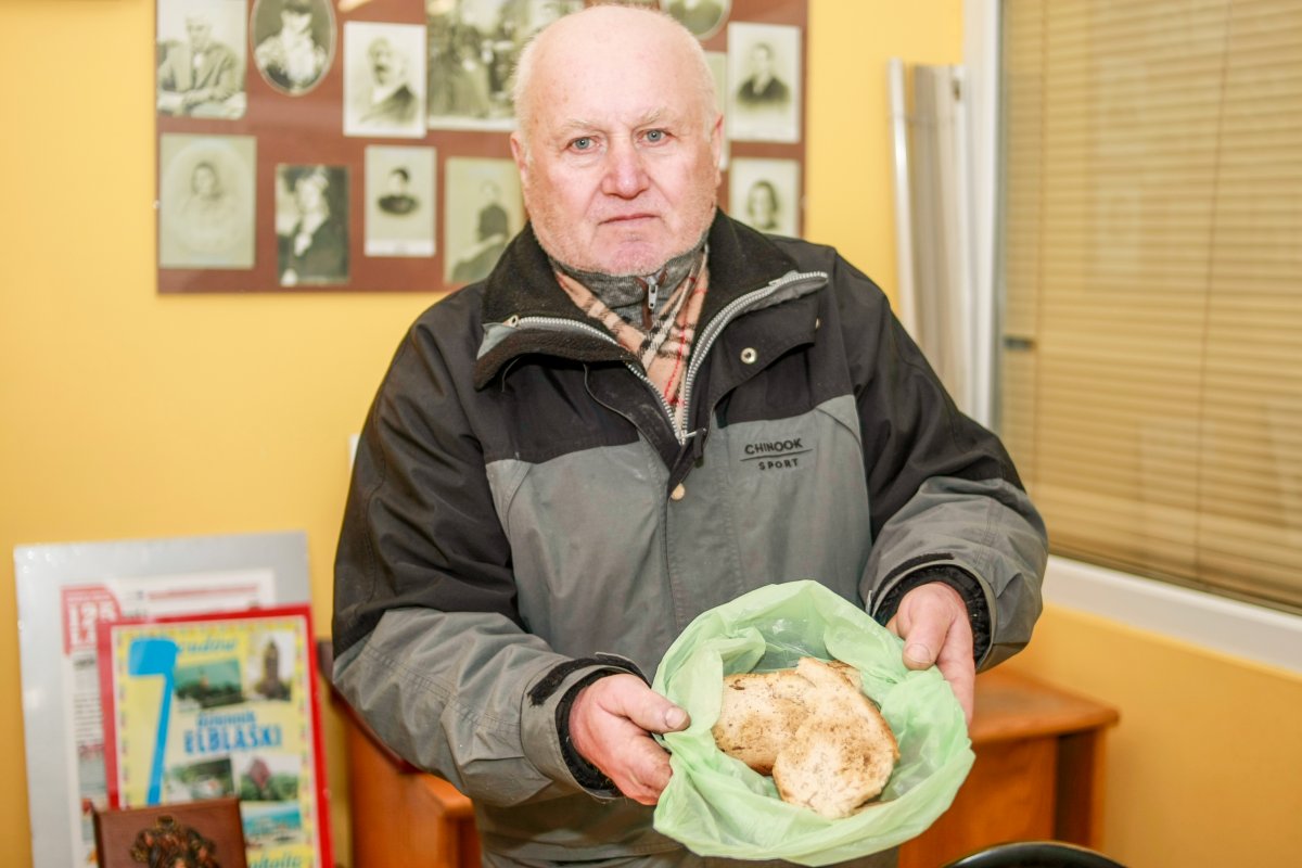 Ktoś truje dzikie ptaki, czy to tylko konflikt sąsiadów?