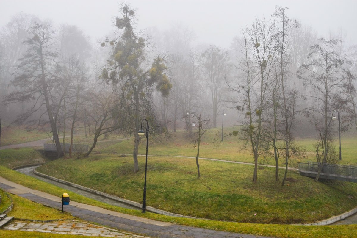 Park Dolinka w nowym wydaniu. Powstanie kompleks rekreacyjny