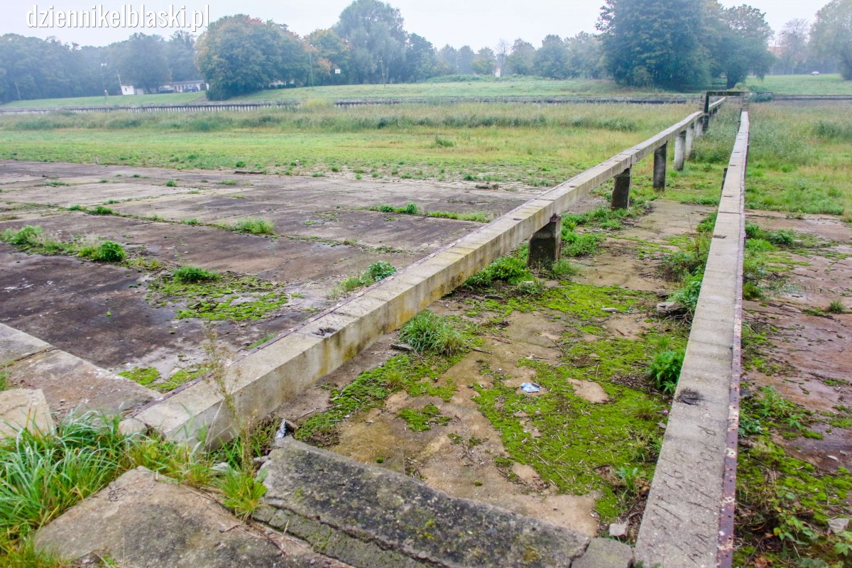 Basen znowu będzie tętnił życiem? Architekci z Gliwic przygotują dokumentację