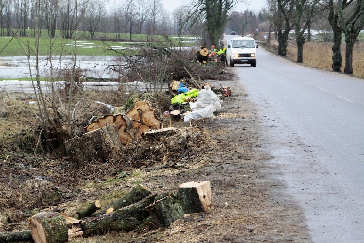 Utrudnienia na Fromborskiej. Będą wycinali drzewa