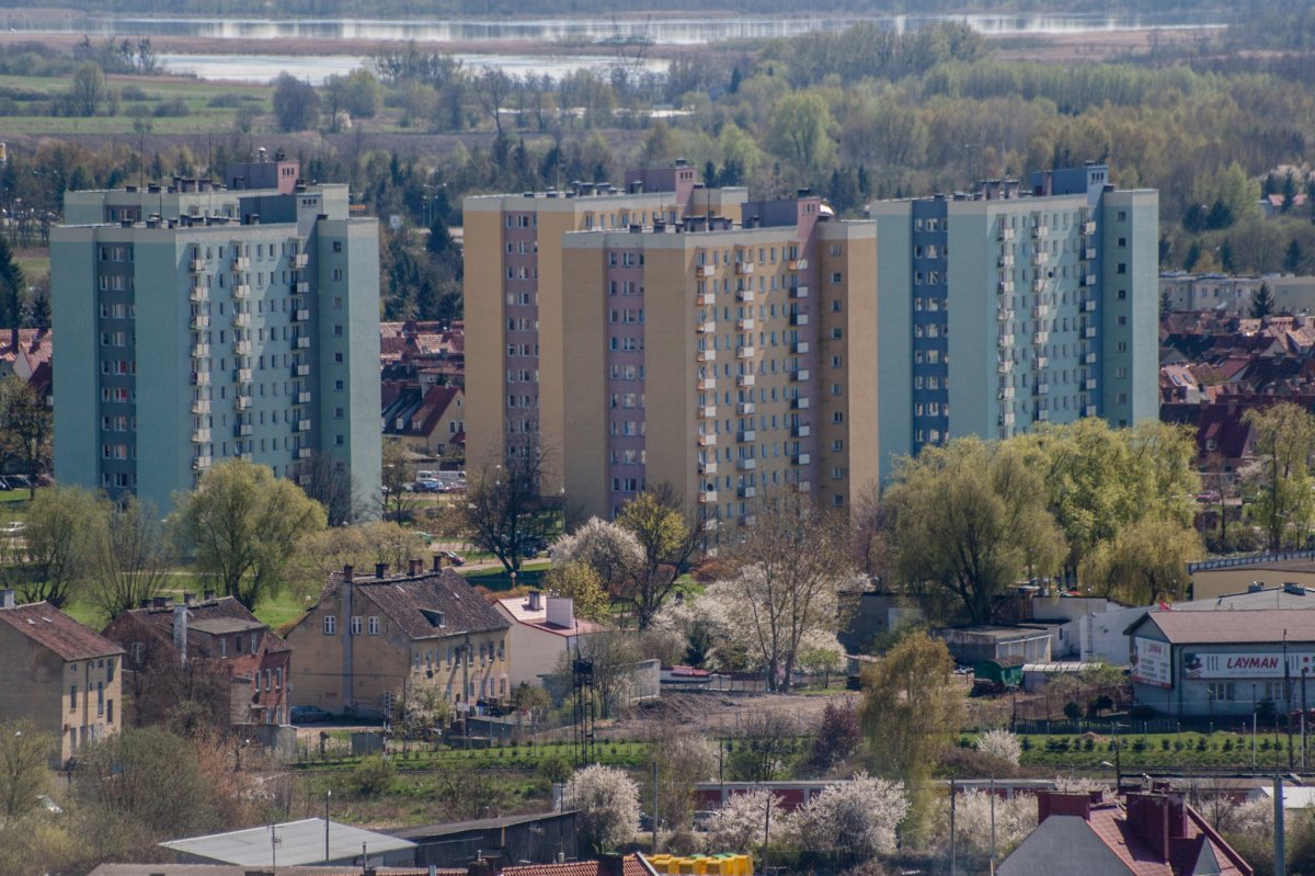 Śmierć na ul. Malborskiej