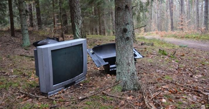 Zebrali 13 kontenerów śmieci w lasach na Mierzei. Turyści permanentnie śmiecą 