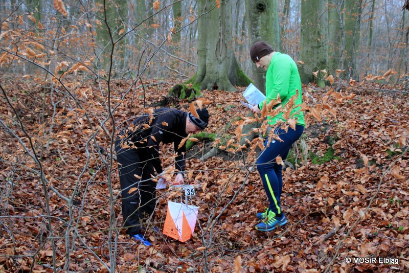 Biegacze orientowali się w Bażantarni