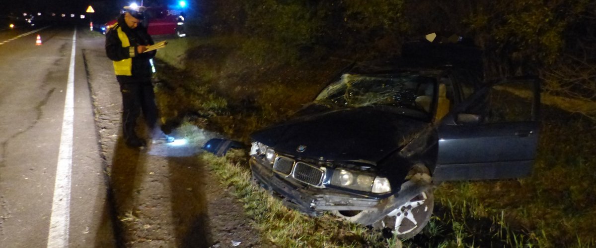 Wypadek w Nowym Dworze Elbląskim. Na zakręcie wypadł z drogi do rowu [zdjęcia]