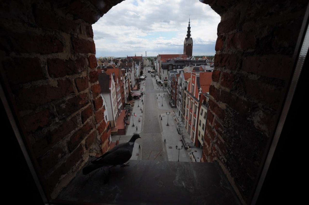 Porozmawiają o antykrzyżackiej roli Elbląga