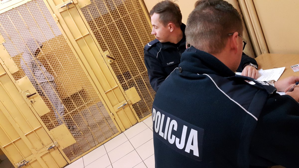 Wyrodny wnuczek. Wpadł w szał i dotkliwie pobił 70-letnią babcię
