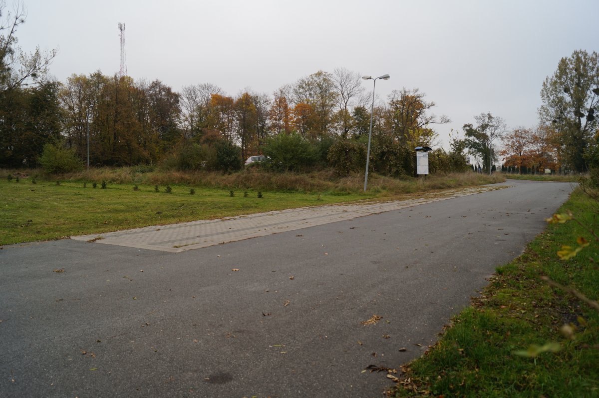 Działki czekają na nowych właścicieli 