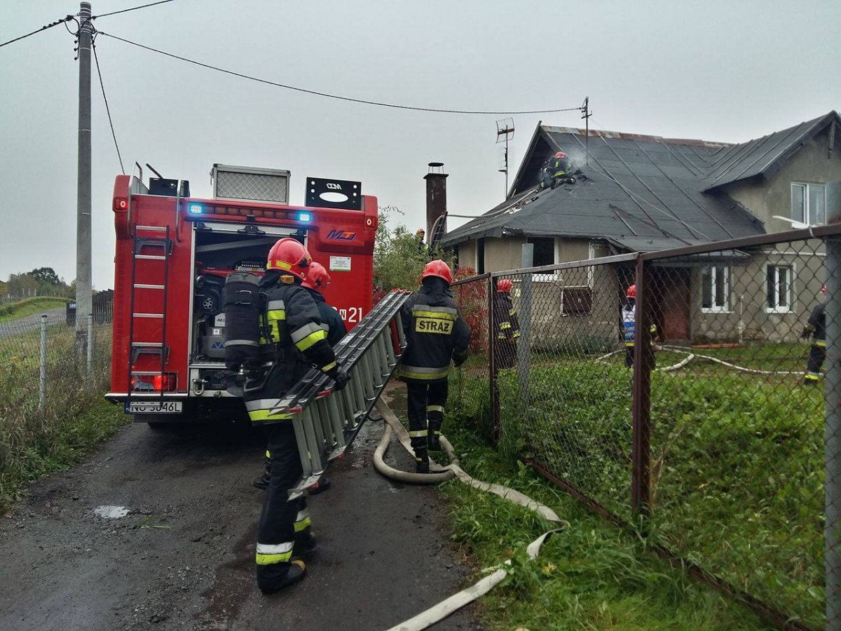 Pożar w Dąbrowie. Siedem wozów straży pożarnej na miejscu [zdjęcia]